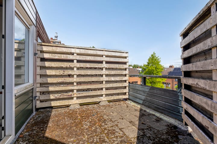 Foto 35 van Muurvaren 37