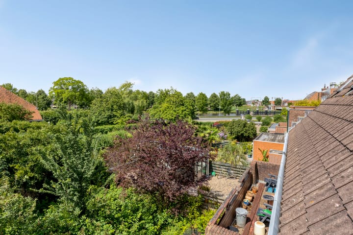 Foto 37 van Muurvaren 37