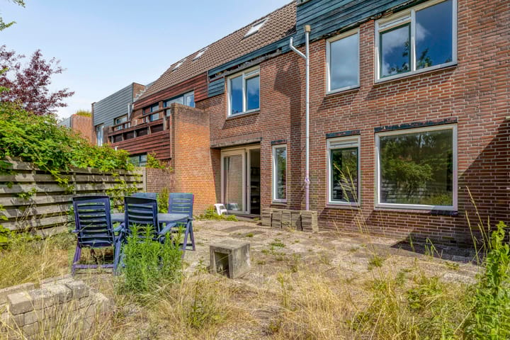 Foto 40 van Muurvaren 37