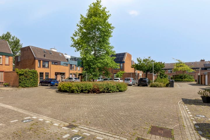 Foto 44 van Muurvaren 37