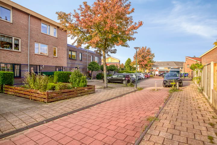 Foto 2 van Dorsvlegel 37