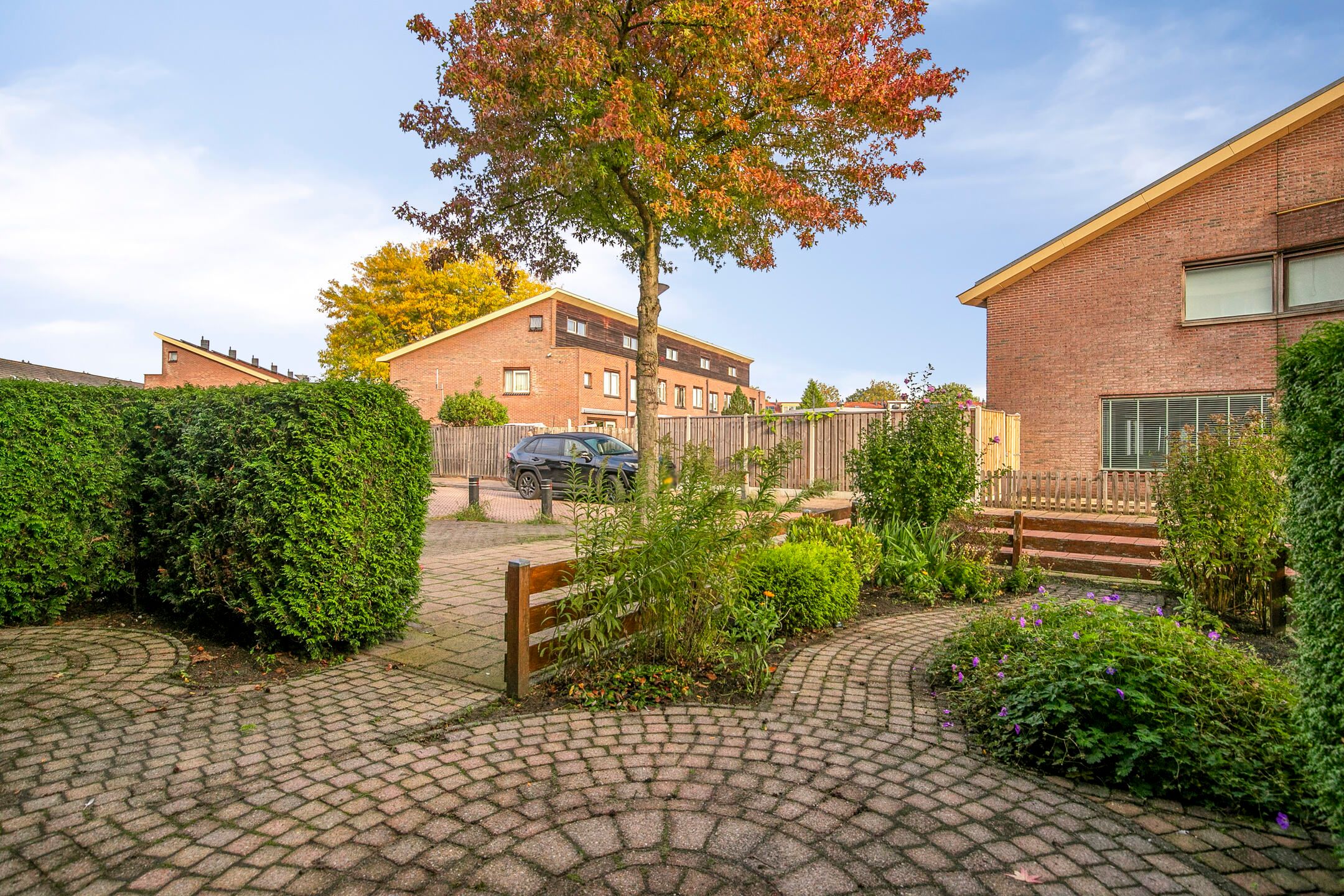 Foto 3 van Dorsvlegel 37