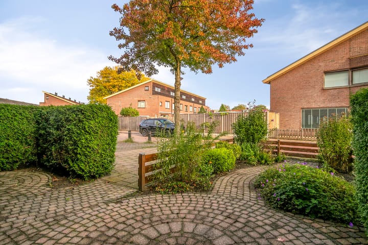 Foto 3 van Dorsvlegel 37