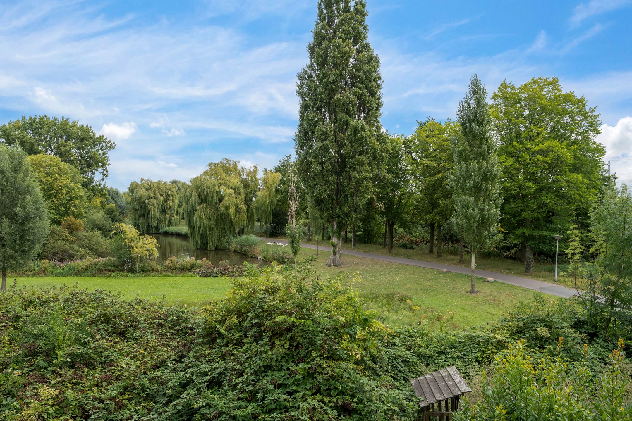 Photo 12 of van Slingelandtstraat 19-B