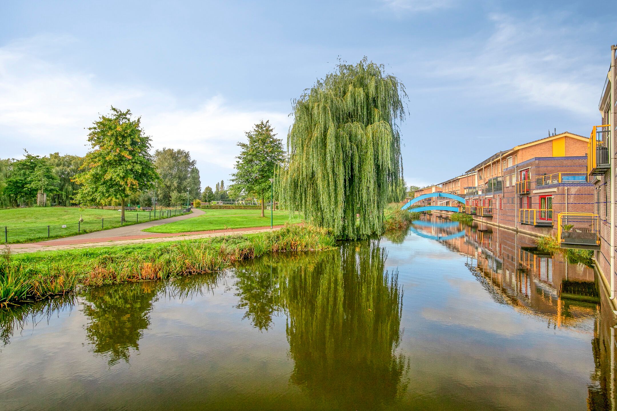 Foto 9 van Dorsvlegel 37