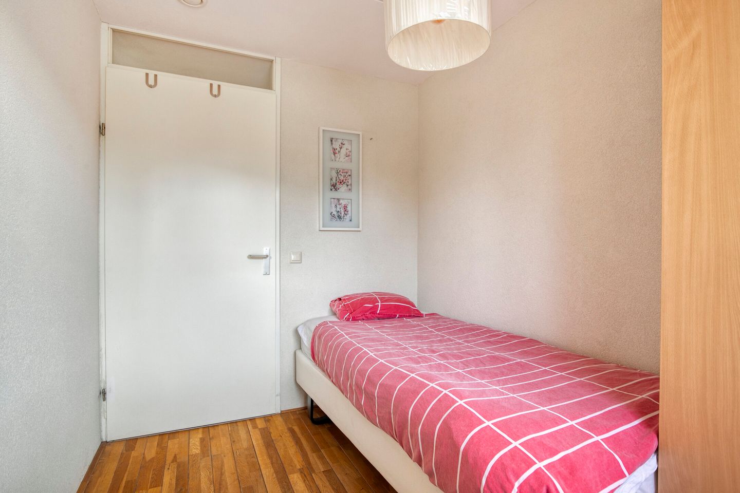 Foto 20 van Dorsvlegel 37