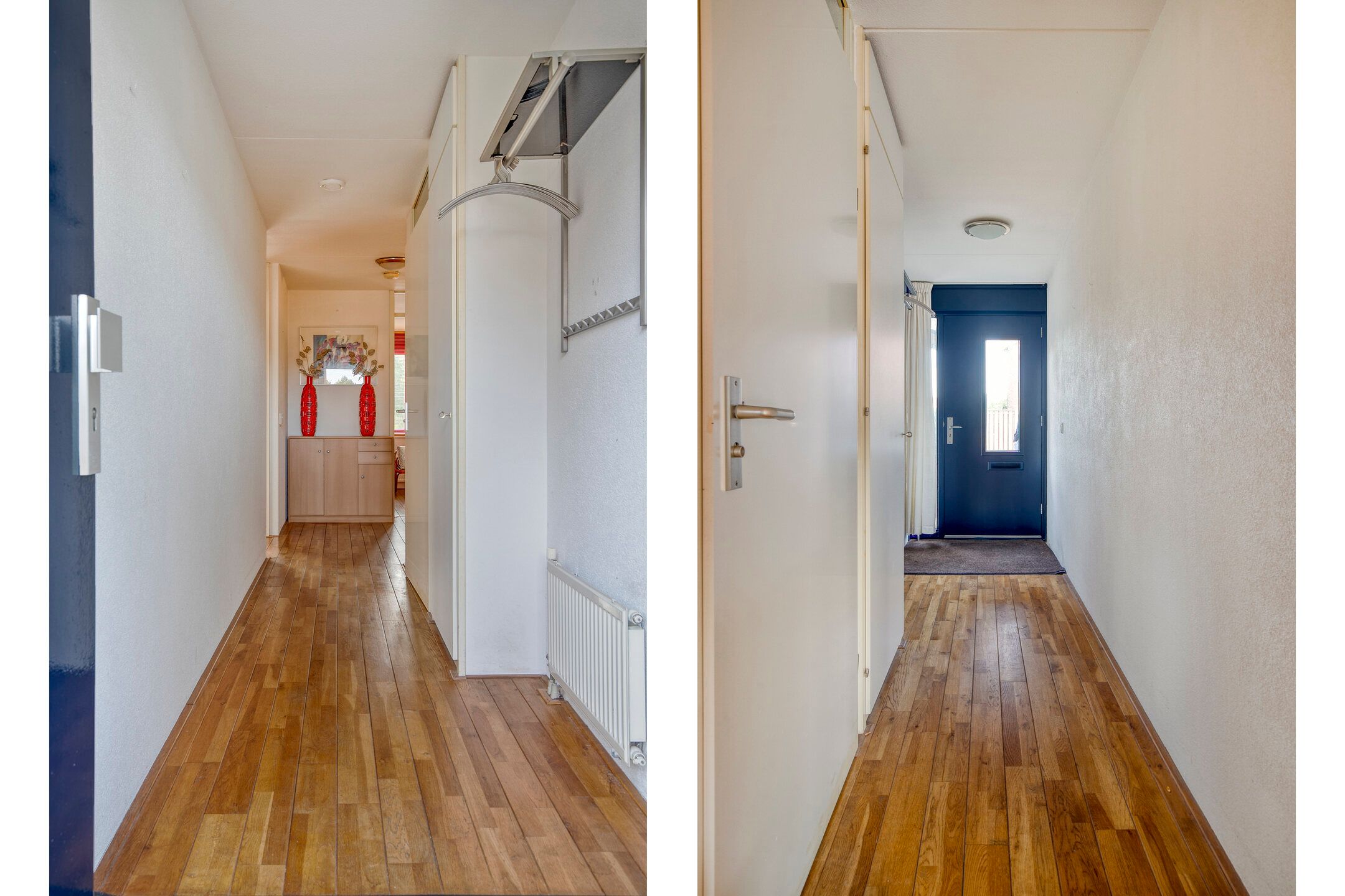 Foto 21 van Dorsvlegel 37