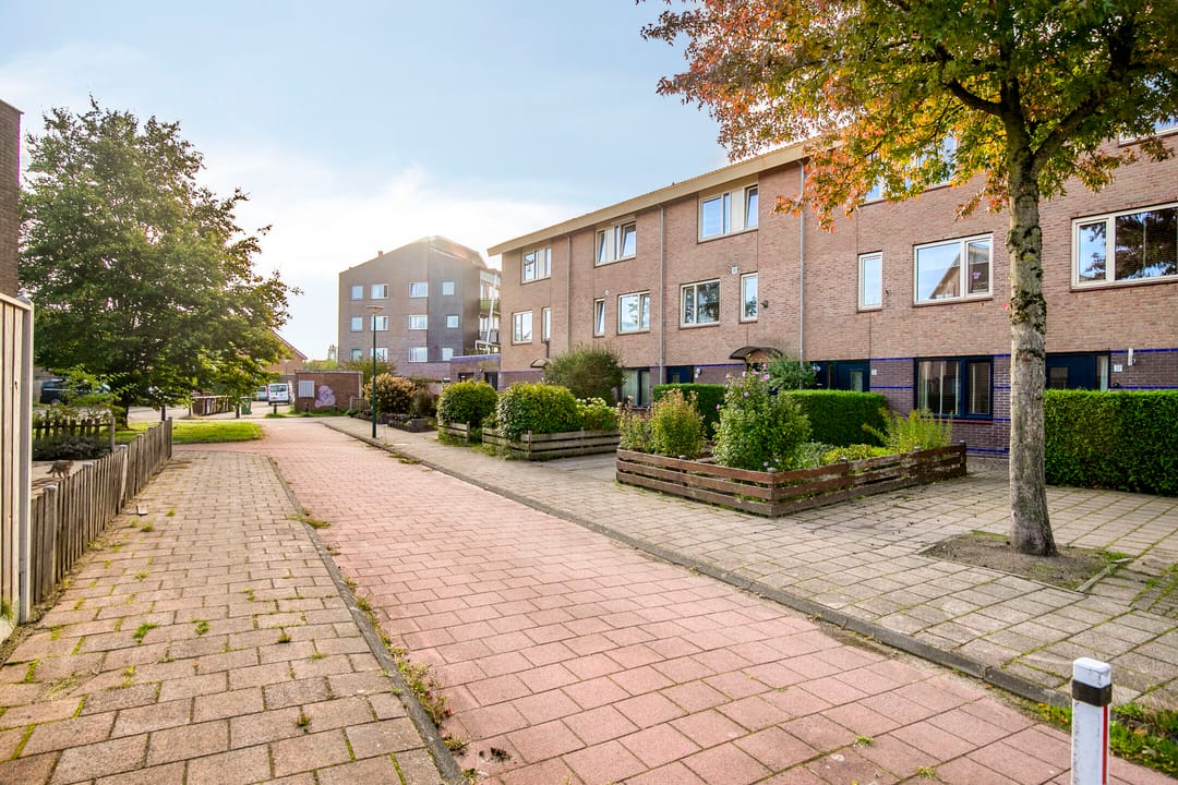 Foto 23 van Dorsvlegel 37