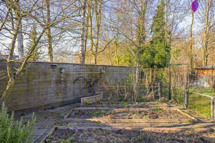 Photo 53 of Bentheimerstraat 79