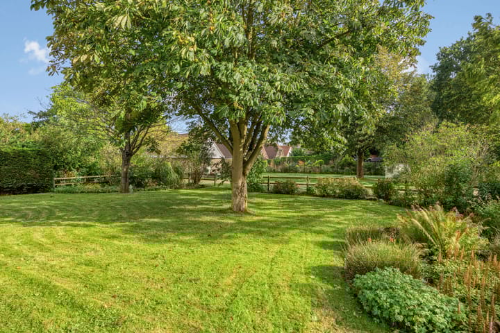 Foto 41 van Beukenlaan 7