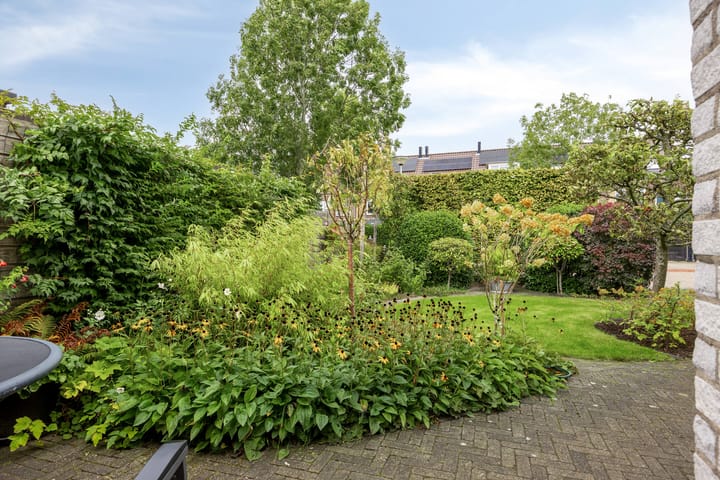 Foto 45 van Vlier 11