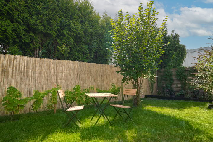 Foto 43 van Maasdijk 15-A