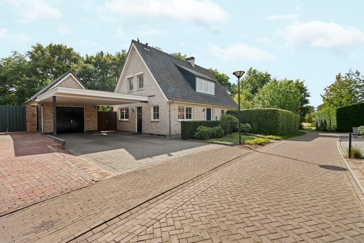 Foto 2 van Kerkuil 2