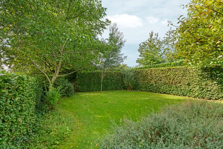 Foto 30 van Kerkuil 2