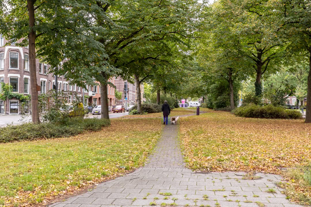 Foto 41 van Bergselaan 15-A