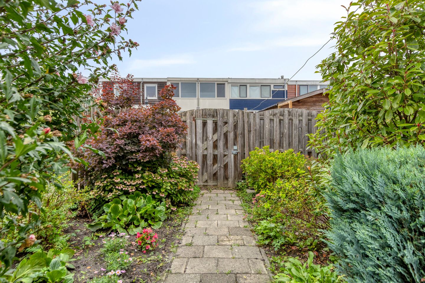 Foto 25 van Amaliastraat 63