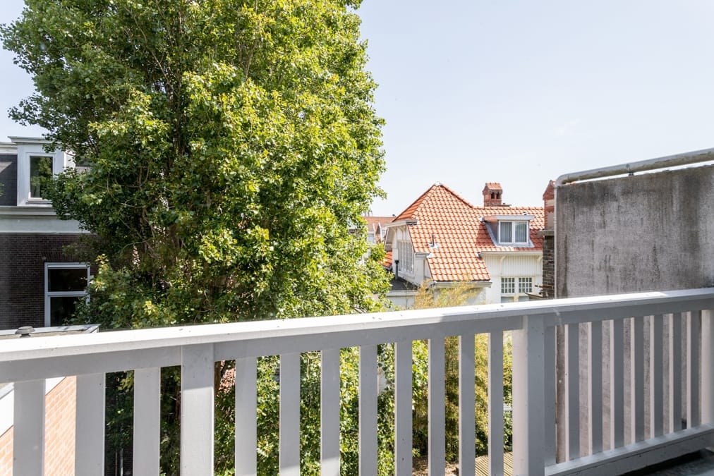 Foto 45 van Nieuwe Parklaan 147