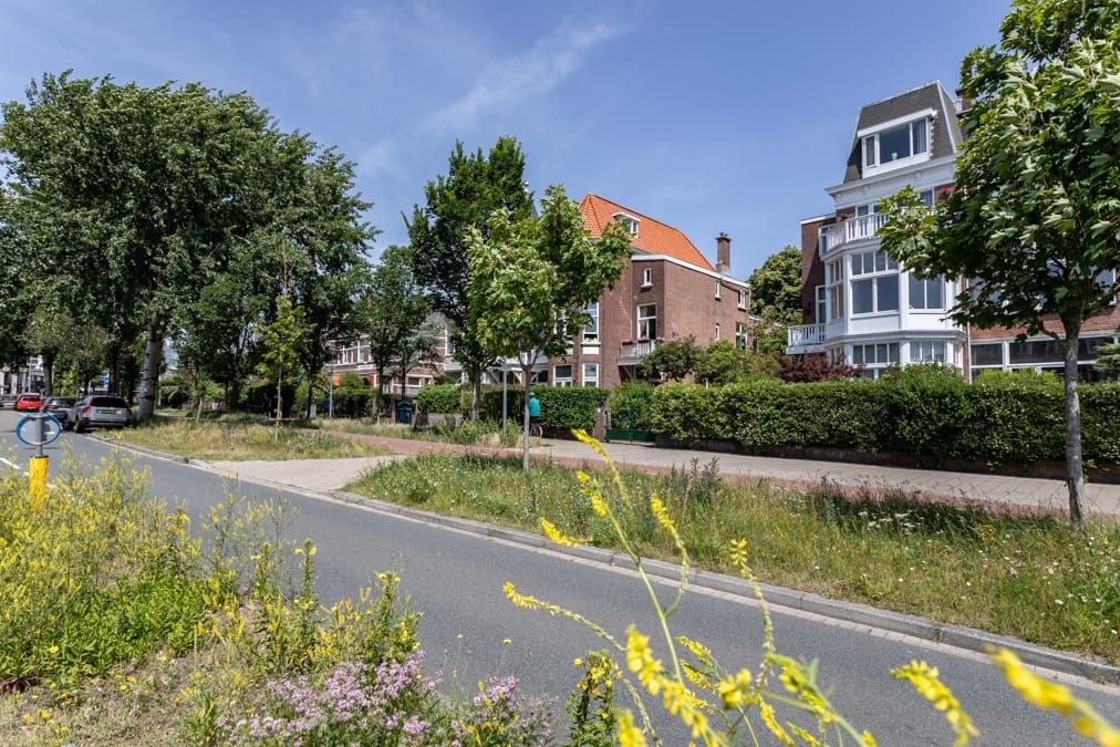 Foto 84 van Nieuwe Parklaan 147