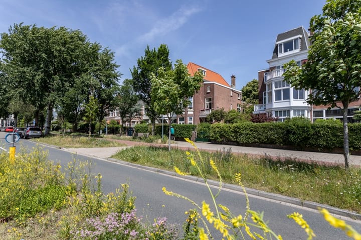 Foto 84 van Nieuwe Parklaan 147