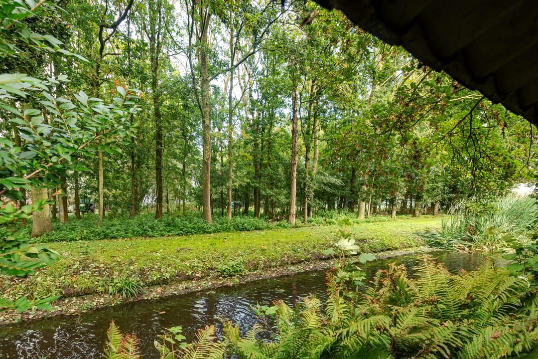 Foto 32 van Grote Sloot 241