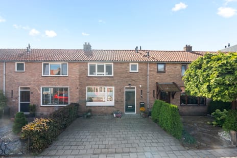 undefined main image