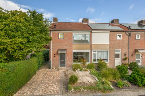 undefined main image