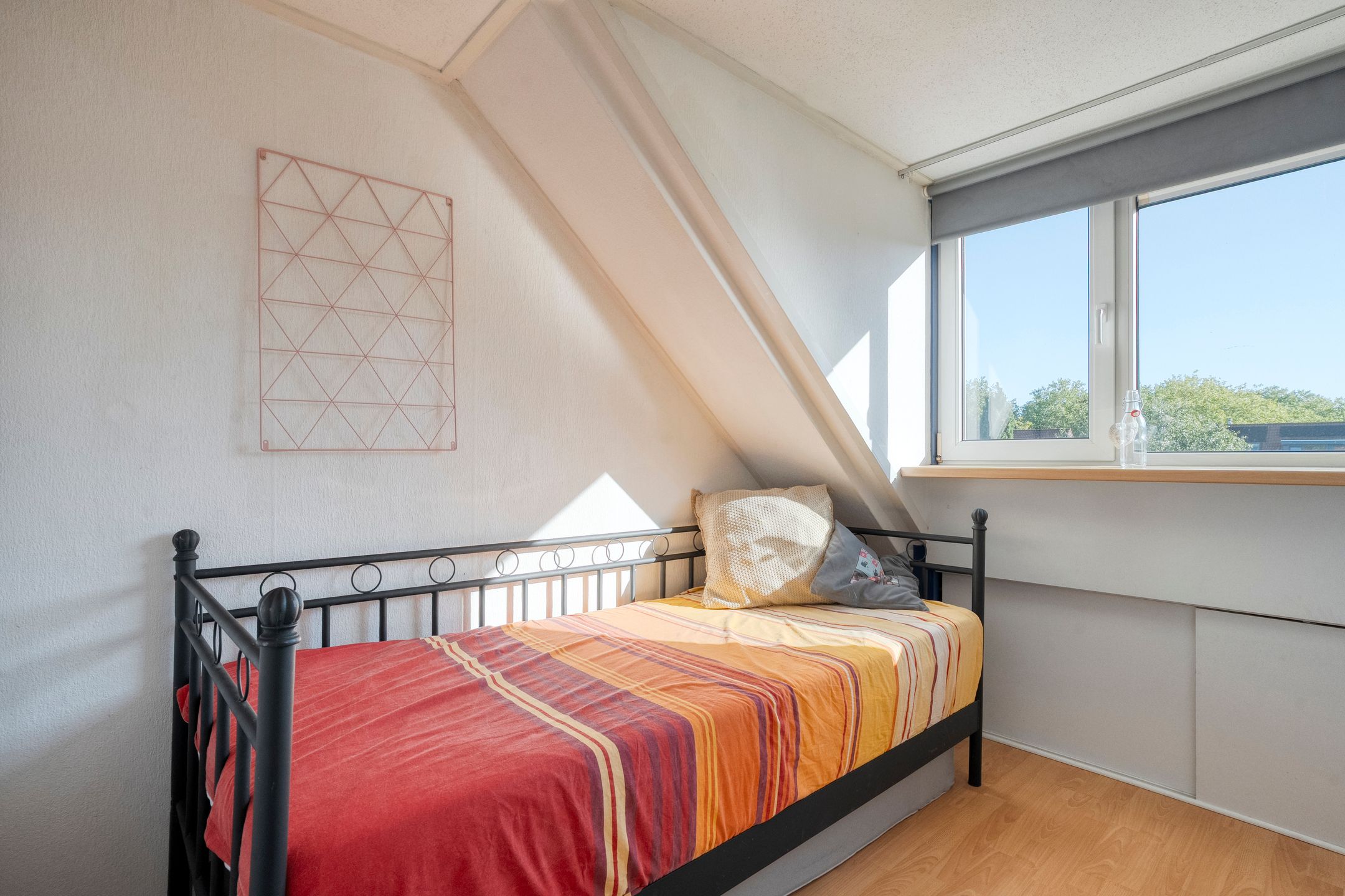 Foto 27 van Haeckmate 46