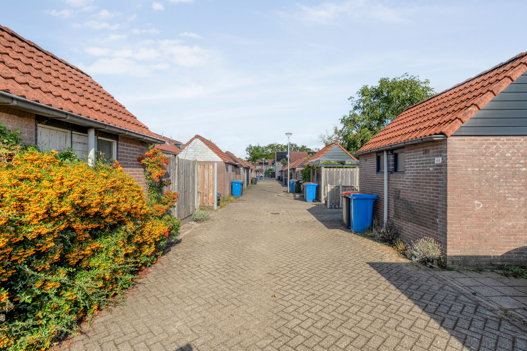 Foto 39 van Haeckmate 46