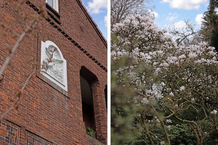 Foto 4 van Borneolaan 7