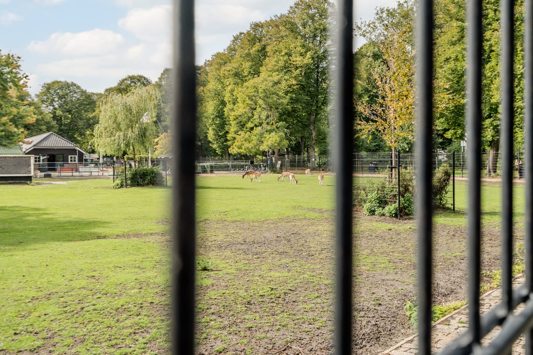 Photo 32 of Goeverneurlaan 98