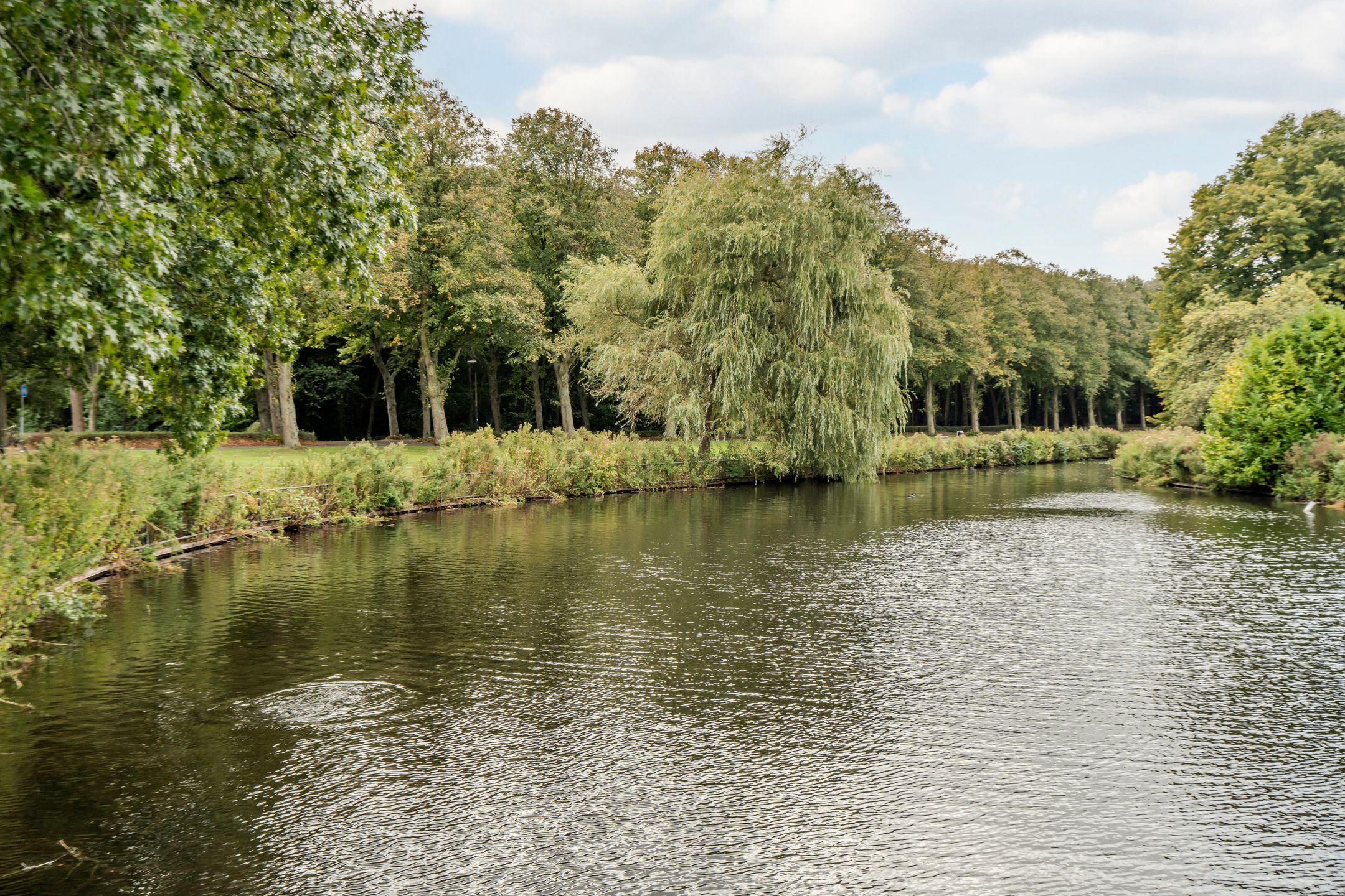 Photo 33 of Goeverneurlaan 98