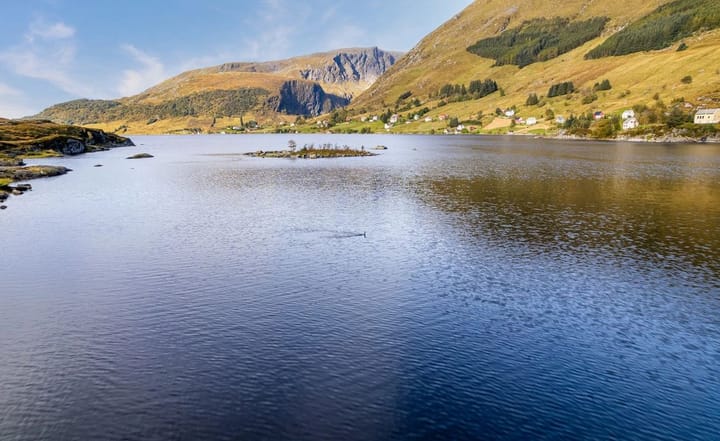 Foto 42 van Dalevegen 567