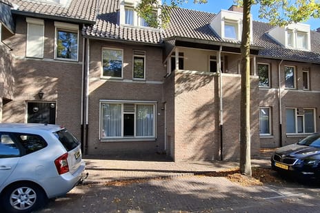 undefined main image