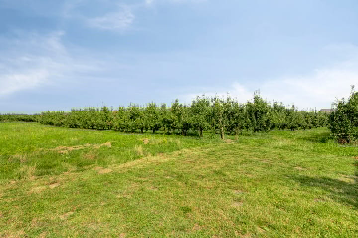 Photo 4 of Provincialeweg 114