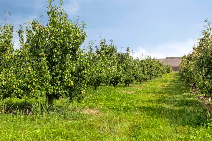 Photo 28 of Provincialeweg 114