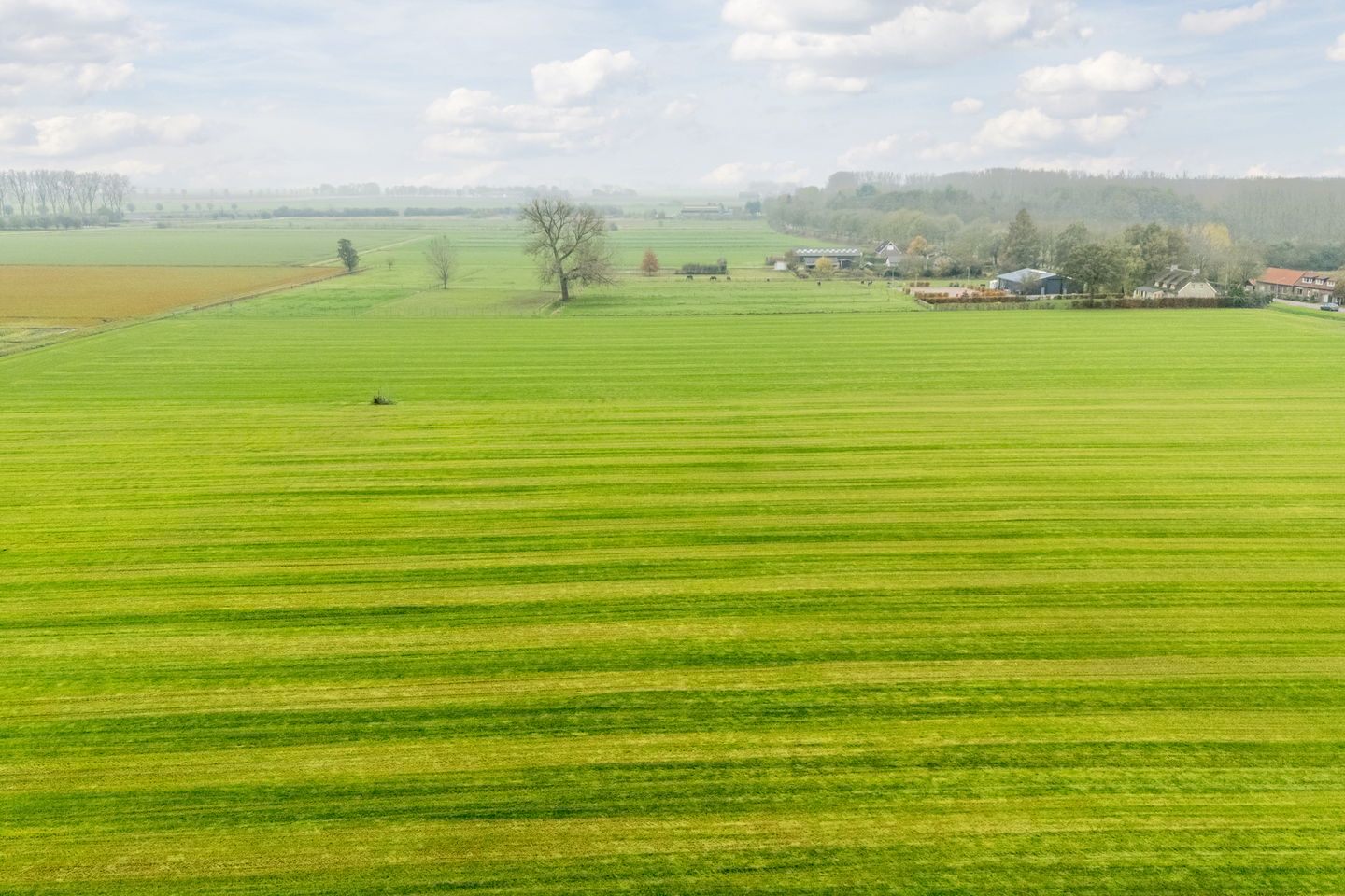 Foto 59 van Pastoor Ermenstraat 1