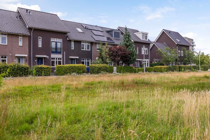 Foto 2 van Argusvlinder 8