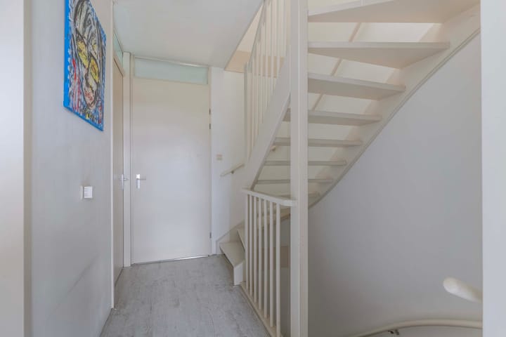 Foto 24 van Argusvlinder 8