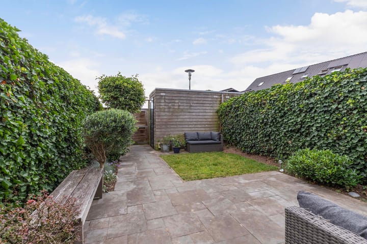 Foto 32 van Argusvlinder 8