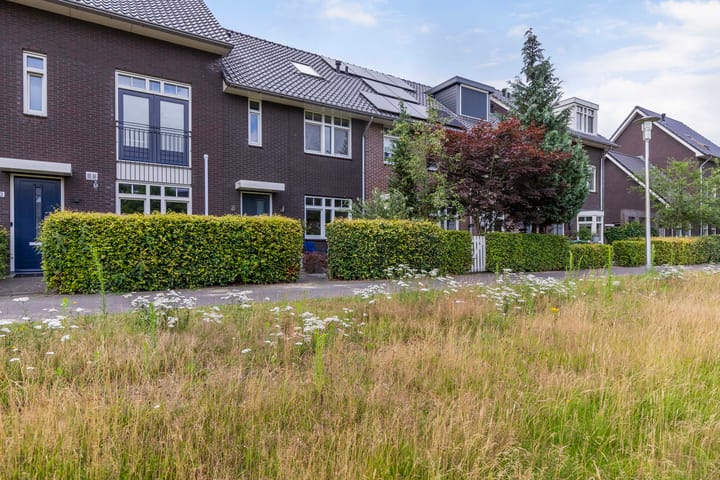 Foto 34 van Argusvlinder 8