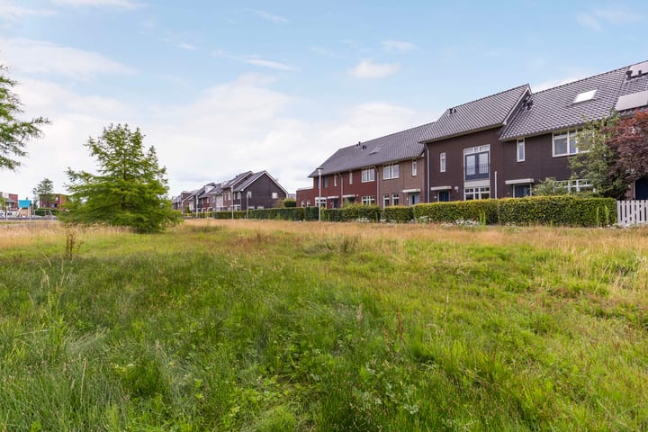 Foto 35 van Argusvlinder 8