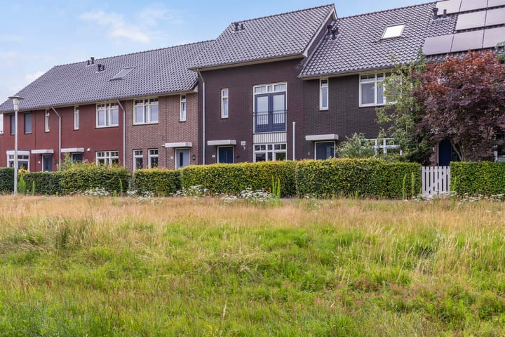 Foto 37 van Argusvlinder 8