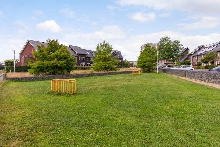 Foto 39 van Argusvlinder 8