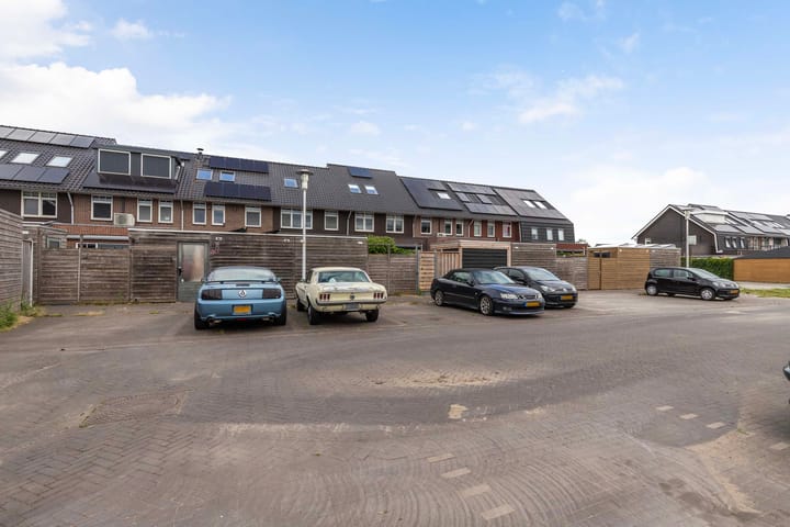 Foto 40 van Argusvlinder 8