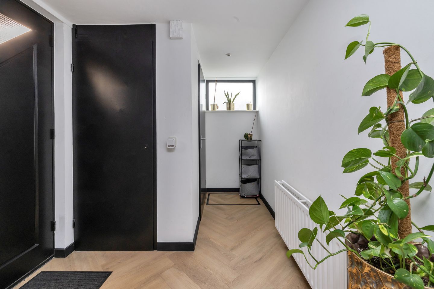 Photo 5 of Paukenstraat 83