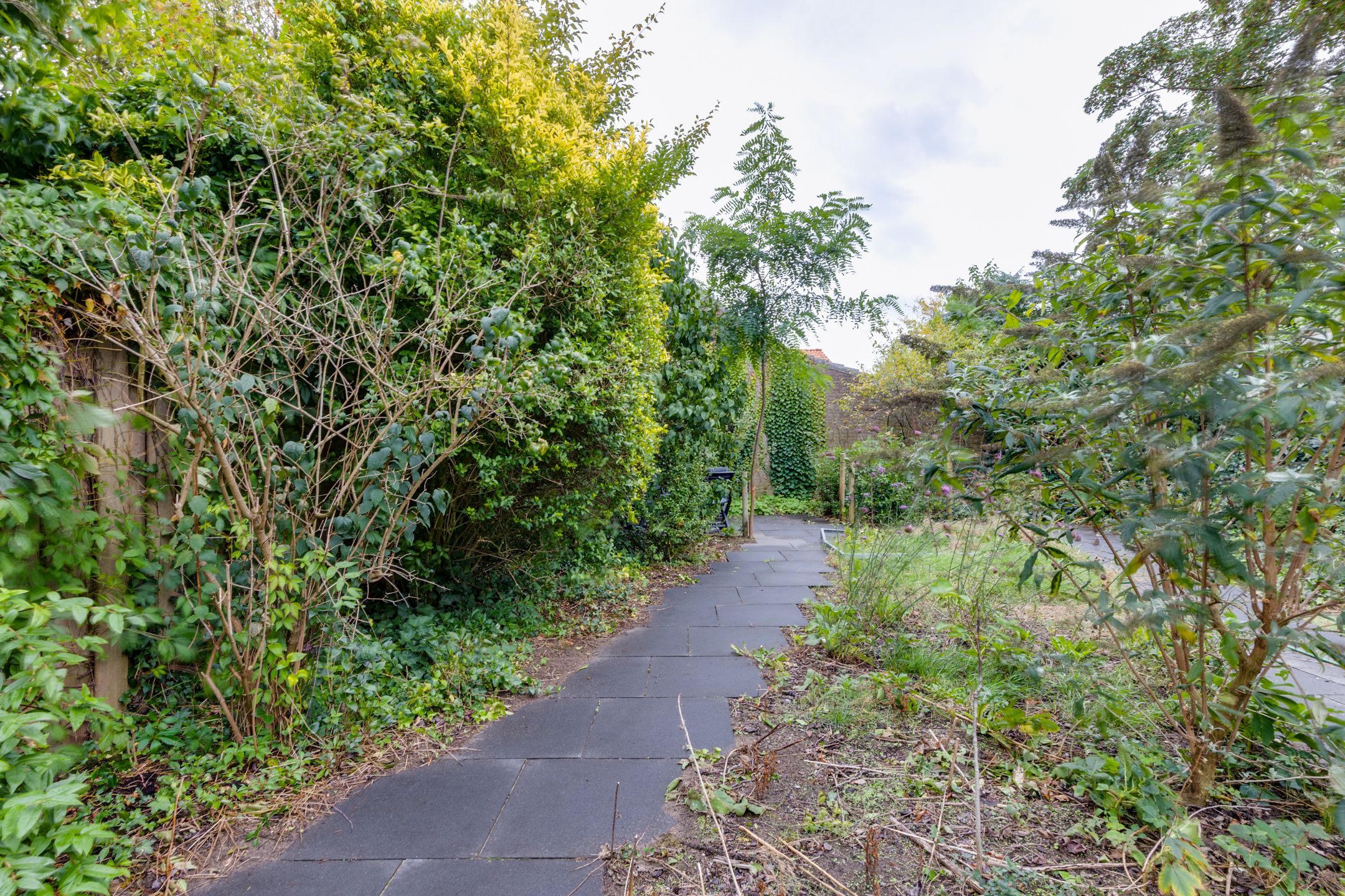 Photo 39 of Kuyperlaan 17