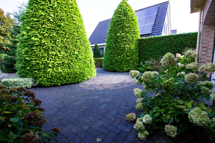 Foto 4 van Schoutsland 11