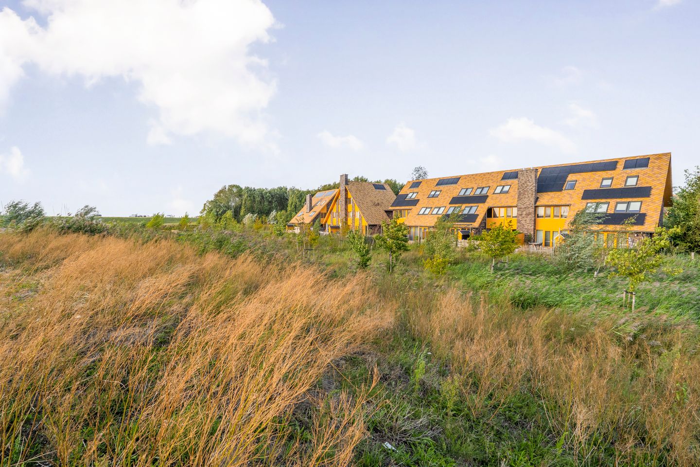 Foto 59 van Noorderduinstraat 307