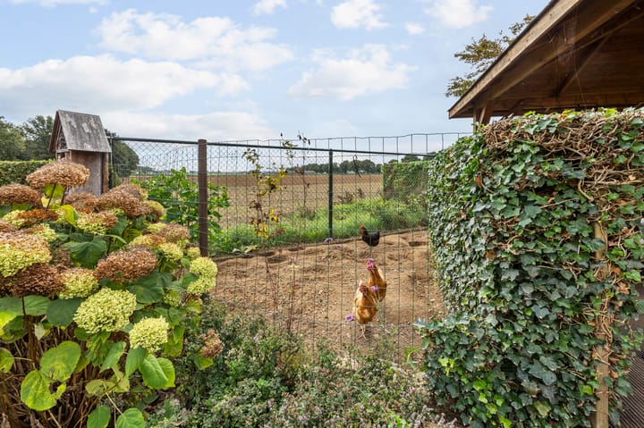 Photo 52 of Heidepark 27