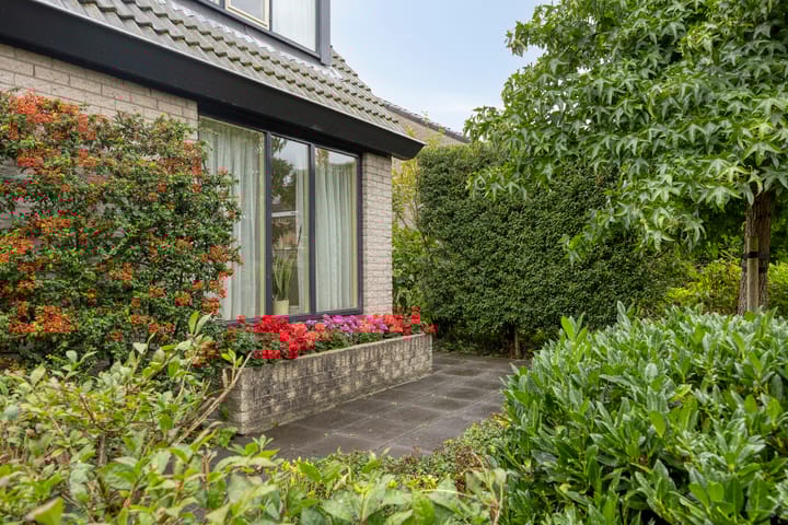 Foto 7 van Grevelingen 36